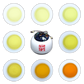 Dong Ding Oolong Tea